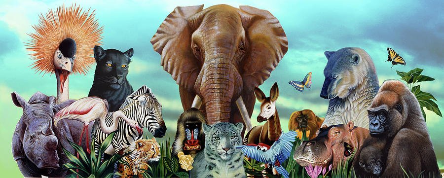 20 fakte të çuditshme për kafshët që nuk i dinit